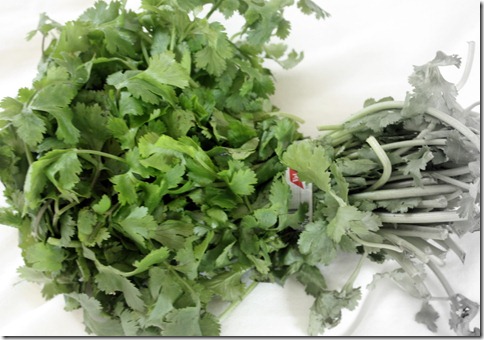 February 7, 2011 008