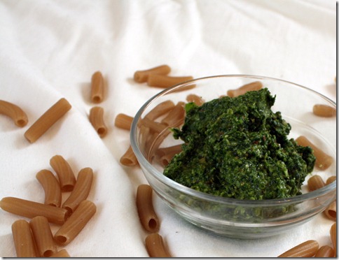 February 7, 2011 020