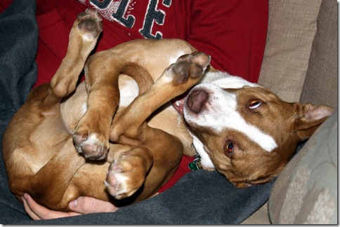 January 27, 2011 009