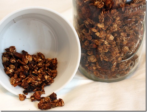 peanut butter chocolate granola (10)