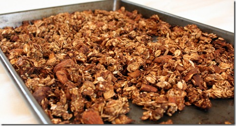peanut butter chocolate granola (4)