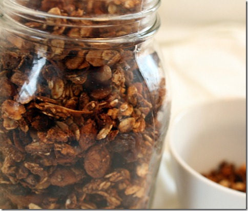 peanut butter chocolate granola (8)