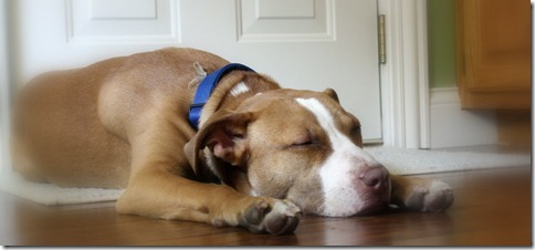 March 14, 2011 006 March 14, 2011 006