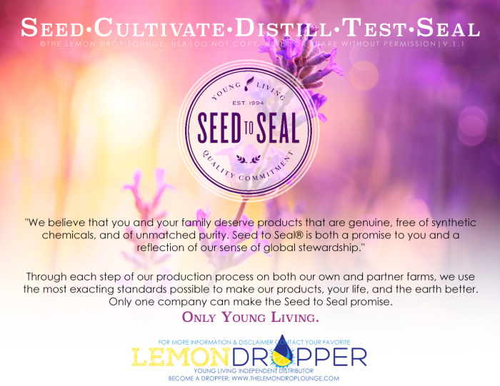 SEED TO SEAL v1.2