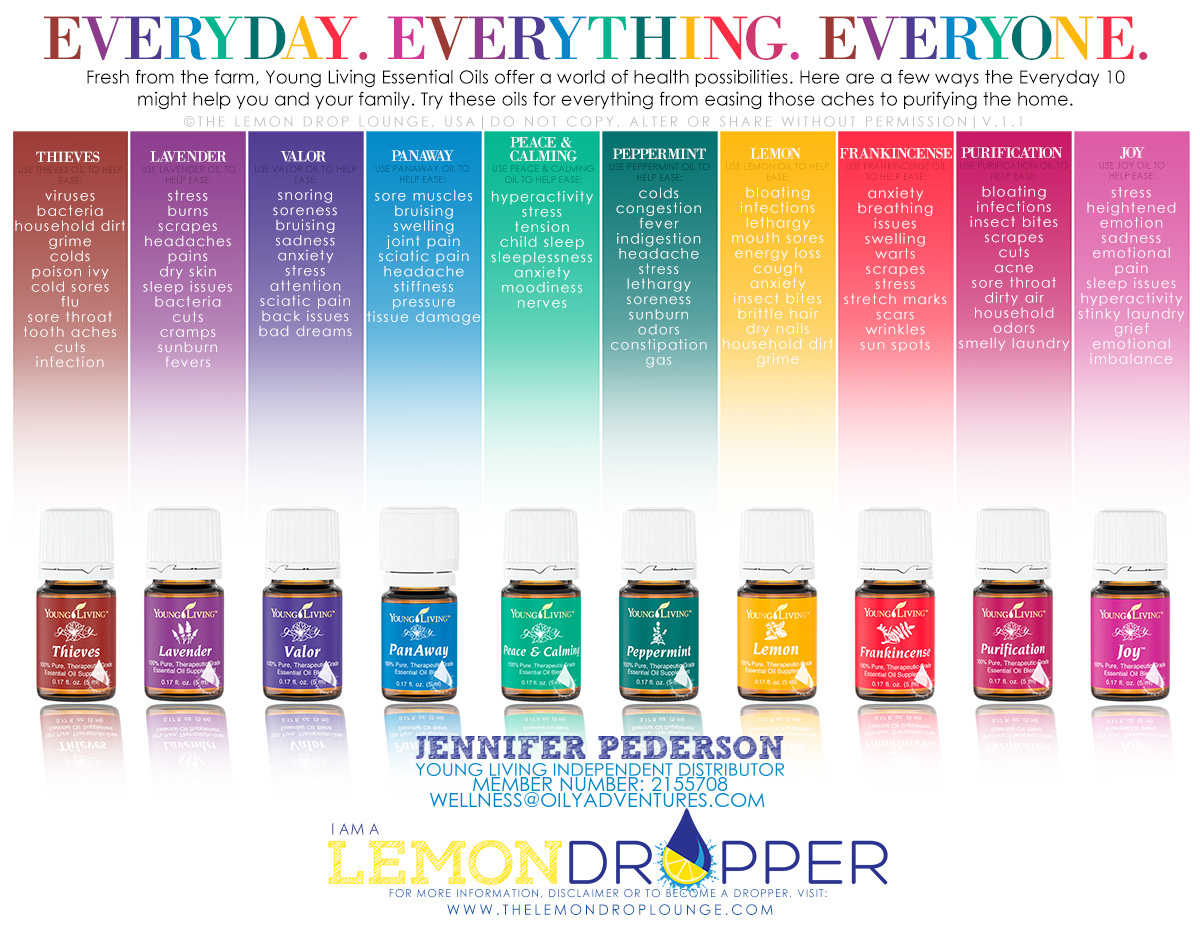 EVERYDAY v1.1