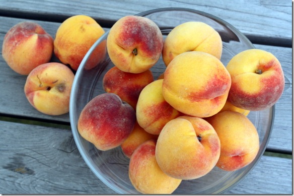 September 13, 2011 008