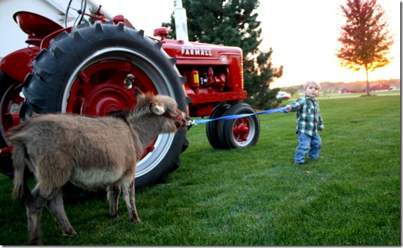 October 23, 2011 070