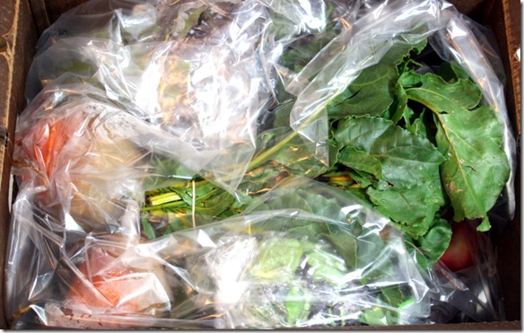 November 10, 2011 008