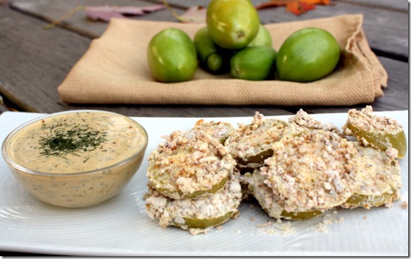 November 2, 2011 015