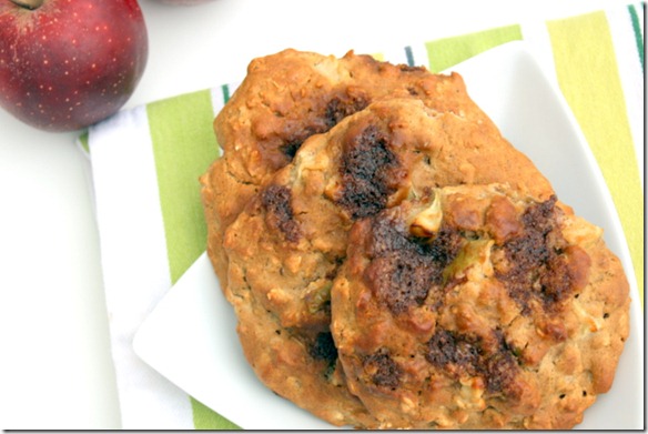 November 7, 2011 017