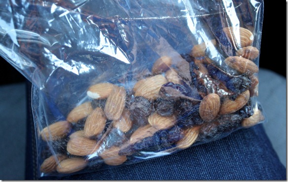 September 6, 2011 004