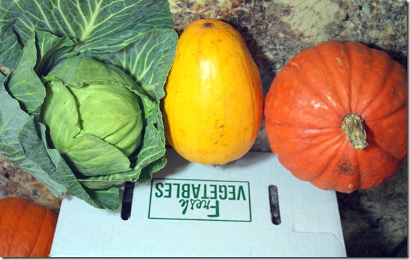 December 8, 2011 001