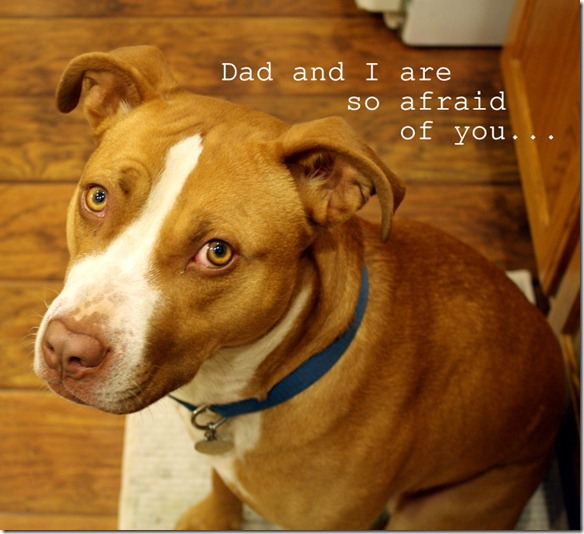 December 20, 2011 013-1