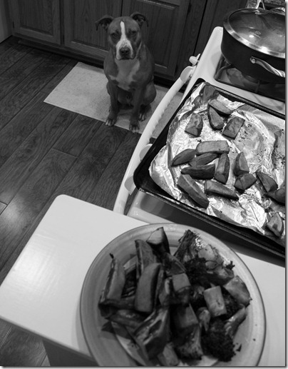 january 24, 2012 038