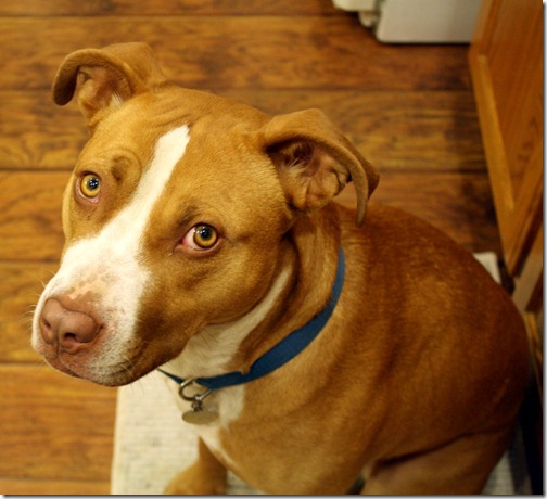 December 20, 2011 013