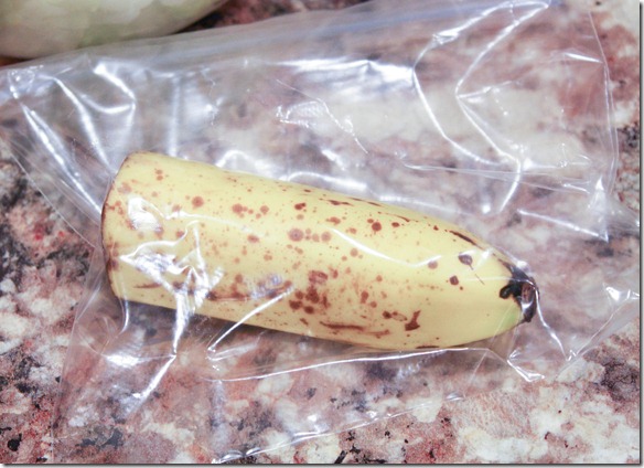 February 21, 2012 004