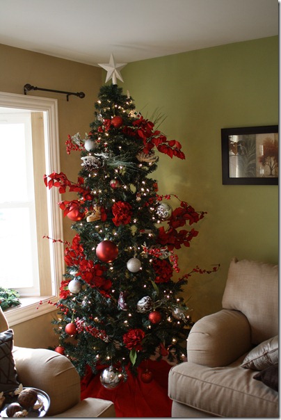 November 25, 2011 006