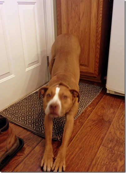 February 17, 201 020