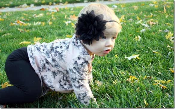 October 28, 2014 080