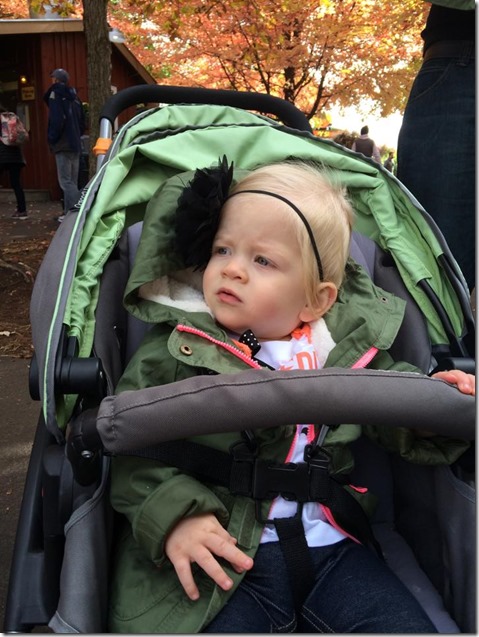 10334238_10102359647489540_849852314269515660_n