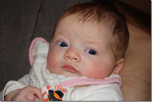 December 9, 2013 027