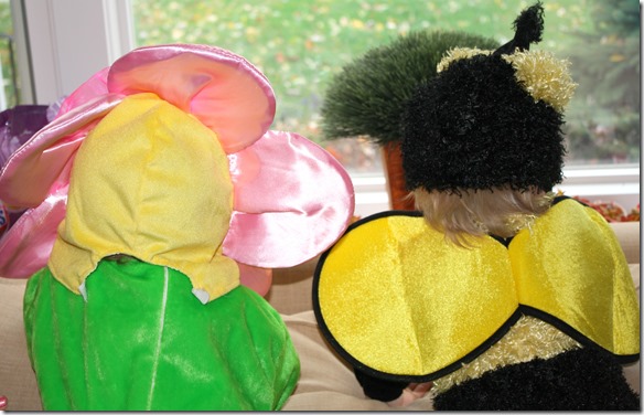 November 1, 2014 008