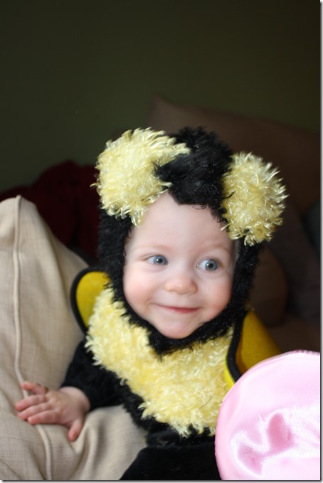 November 1, 2014 016