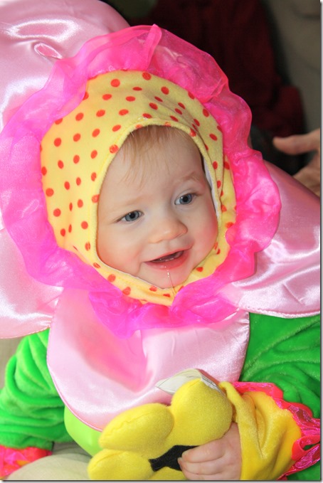 November 1, 2014 019