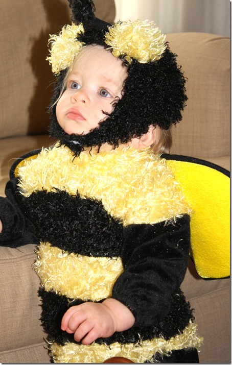 November 1, 2014 027