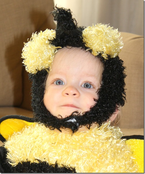 November 1, 2014 029