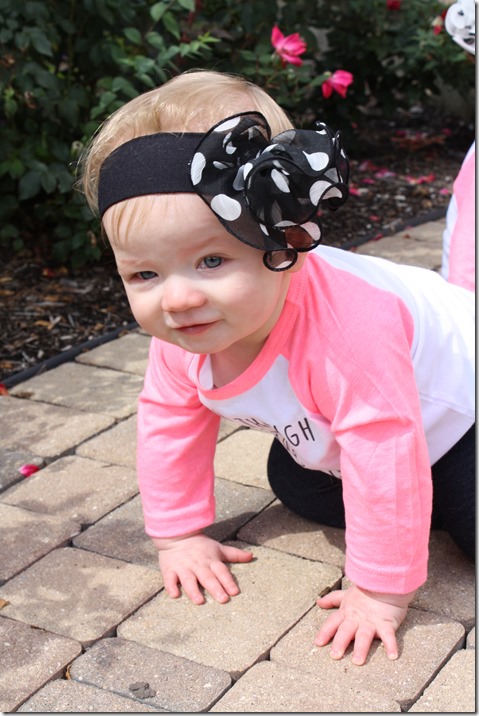 October 28, 2014 024