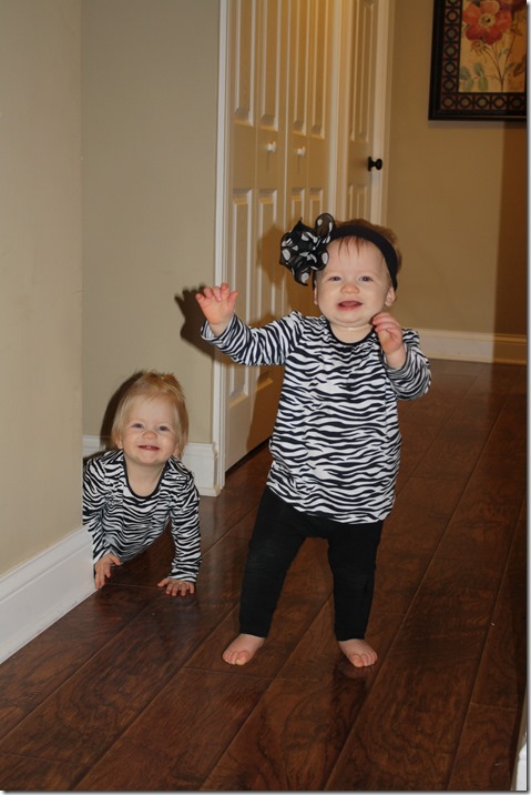 October 28, 2014 048