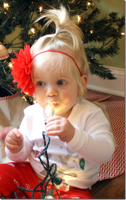 November 30, 2014 009