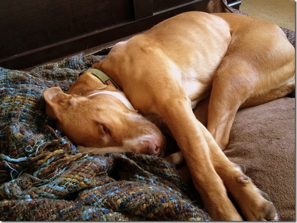 January 26, 2015 391